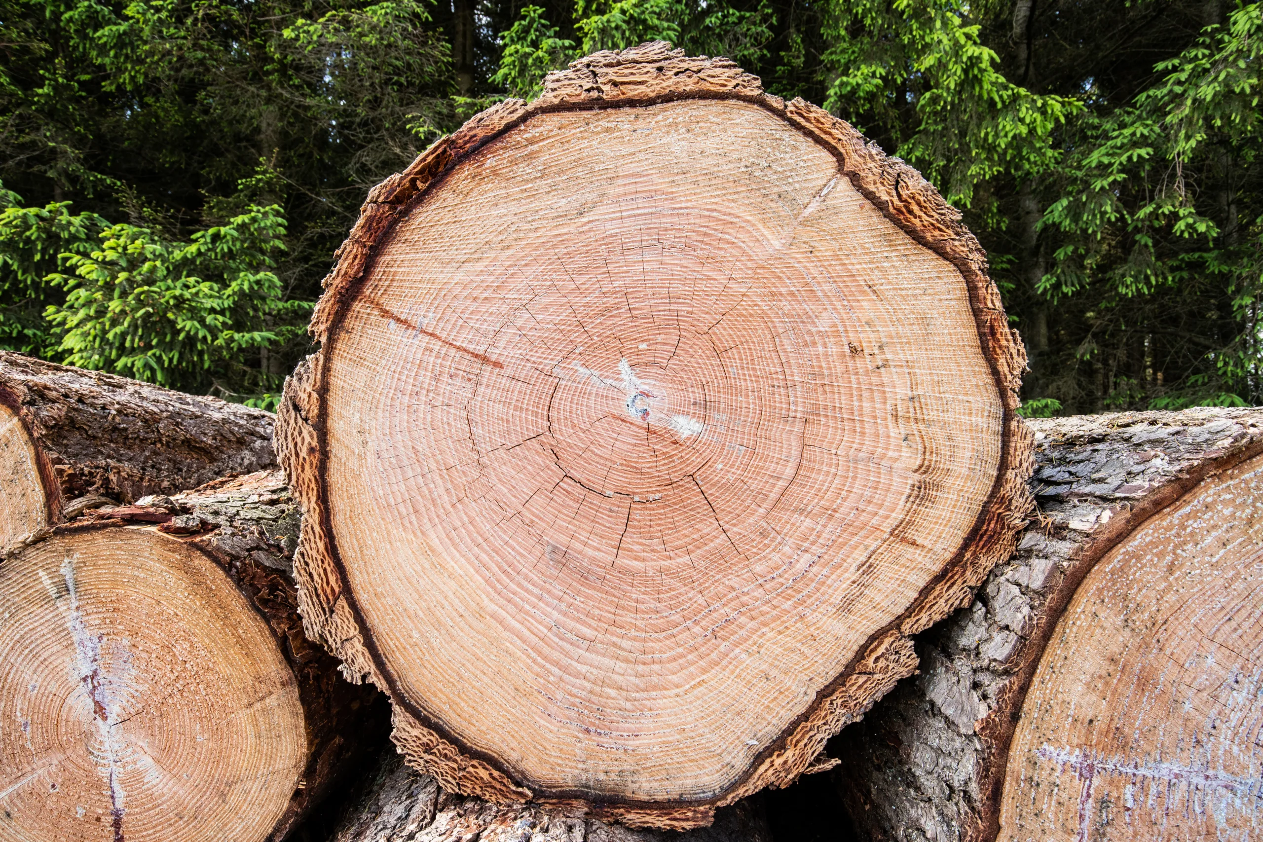 Miljø og Produksjon